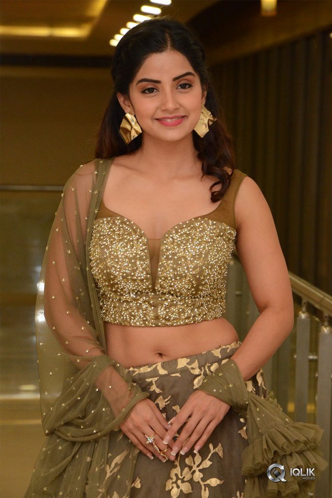 Kashmira-at-Nartanasala-Pre-Release-Event